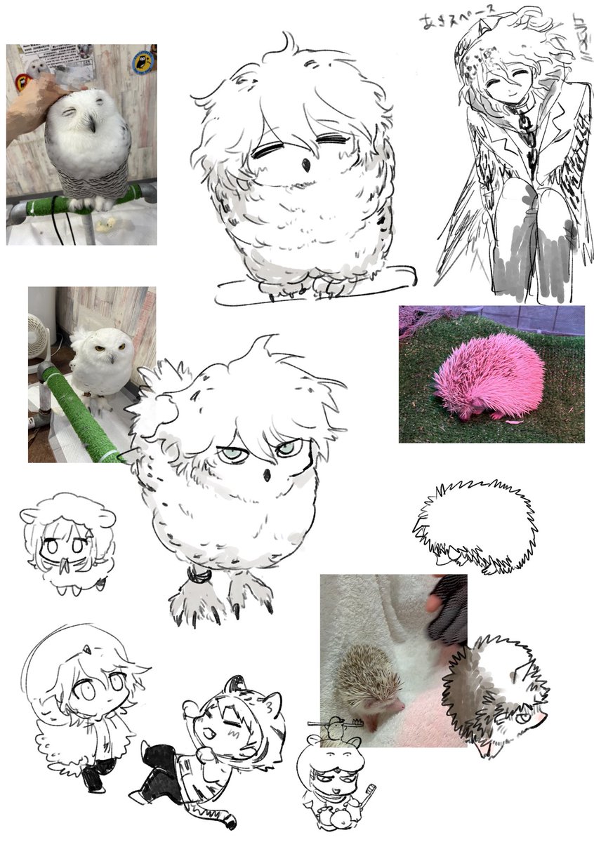 リハビるか 