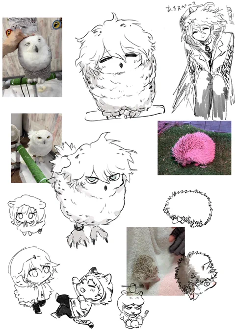 リハビるか 