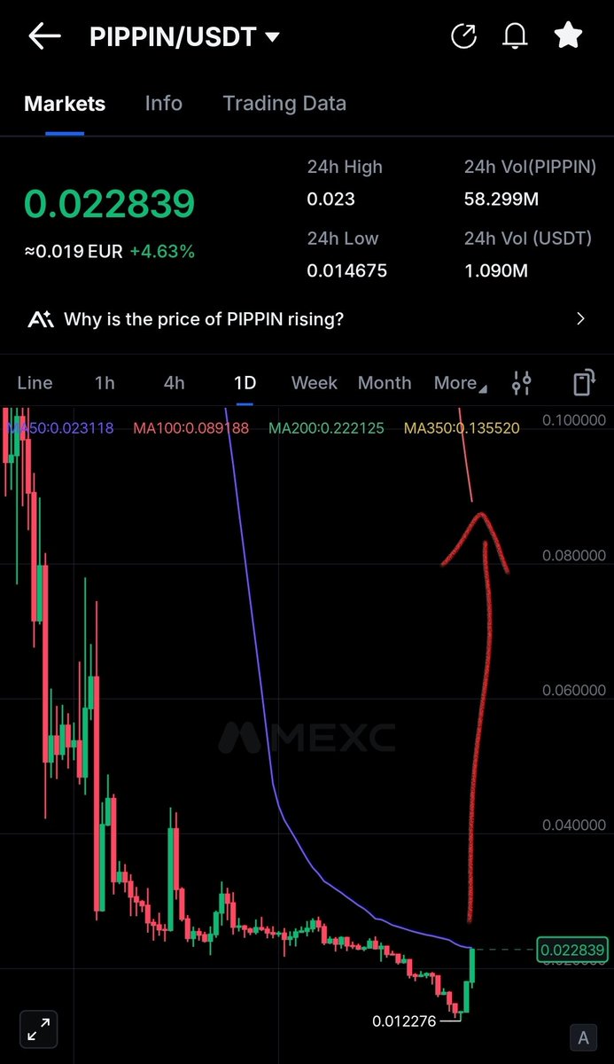 CryptoProfitMan's tweet photo. $PIPPIN looks like a rocket!!! 🤑🚀 https://t.co/TRPNMcwBw9