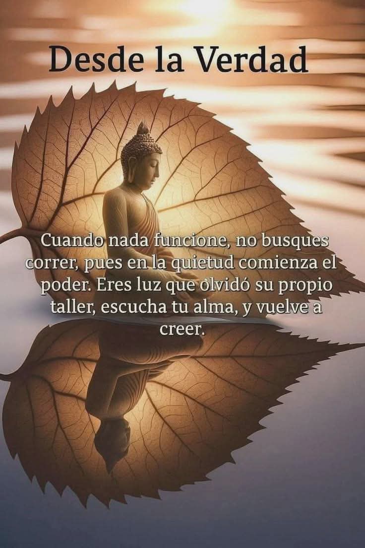 eduwi's tweet photo. Hoy es un día hermoso para escuchar tu alma...💕🙌🏻🙏🏻📿🪔 https://t.co/kUTmnequee