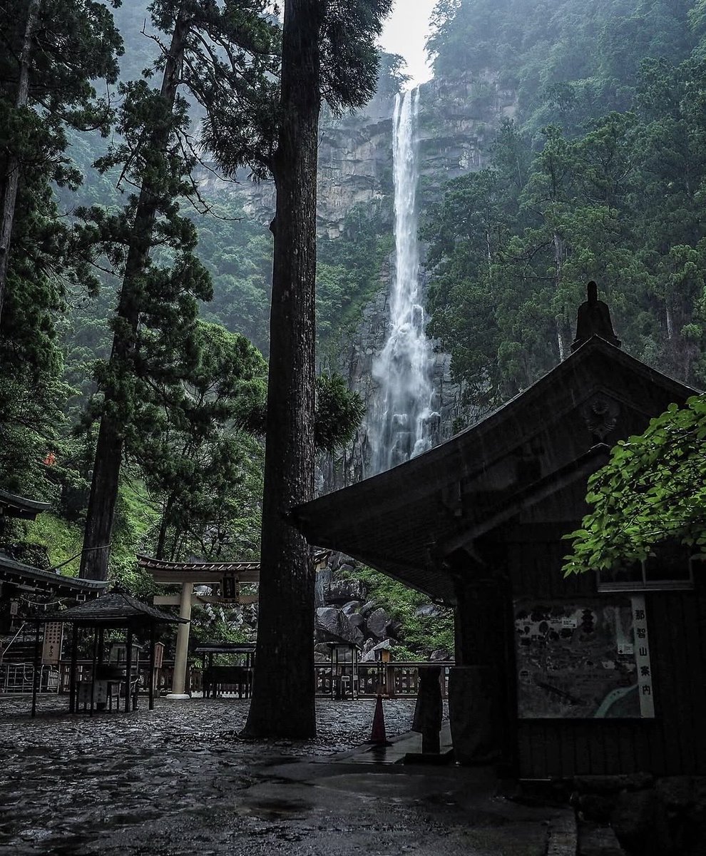 Dōgen tweet media
