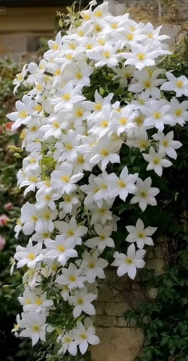 NaimeH123's tweet photo. ...
Üç şeyi gizli tut
Derdini, sadakanı, ibadetini...

Üç şeye güvenme
Gençliğine, malına, insanlara...

Üç şeyi erteleme
Namazı, tövbeyi, iyiliği...

Üç şeyi aklından çıkarma
Allah'ı, ölümü, hesabı... https://t.co/QEaf6Twipe