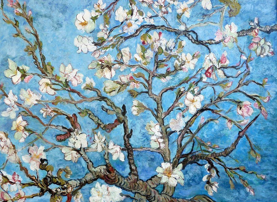 Havenlust's tweet photo. Almond Blossom, 1890.

Vincent Van Gogh https://t.co/wVi47STZHi
