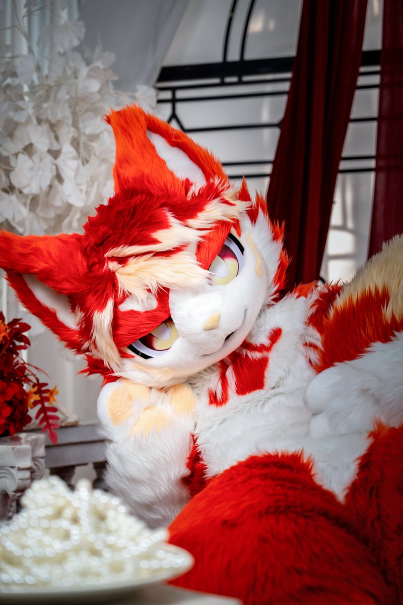 ALKAID_FUR's tweet photo. 【✨ALKAID·全装展示·专】pat.2
昕昕家的橘红缅因🐱

委托：昕昕
📷：朔光

#fursuit #furry https://t.co/PwpmhComEp