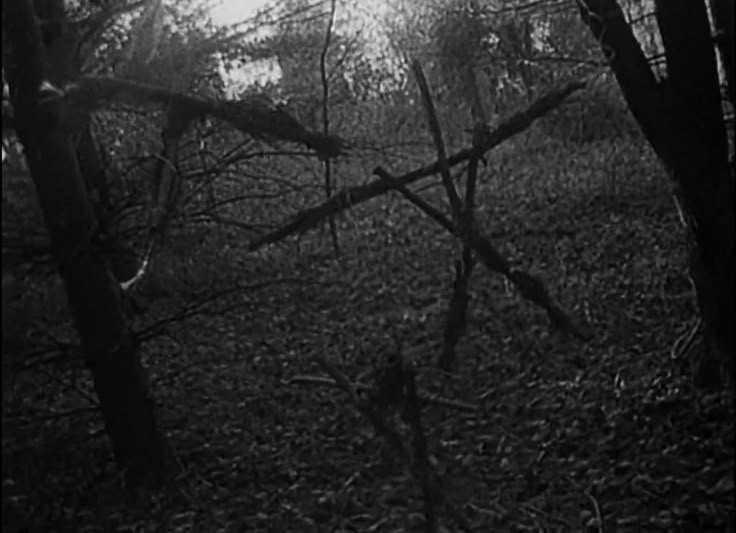 freakyfilms0's tweet photo. The Blair Witch Project 1999

Do you like this film? https://t.co/pHpPxC74aG