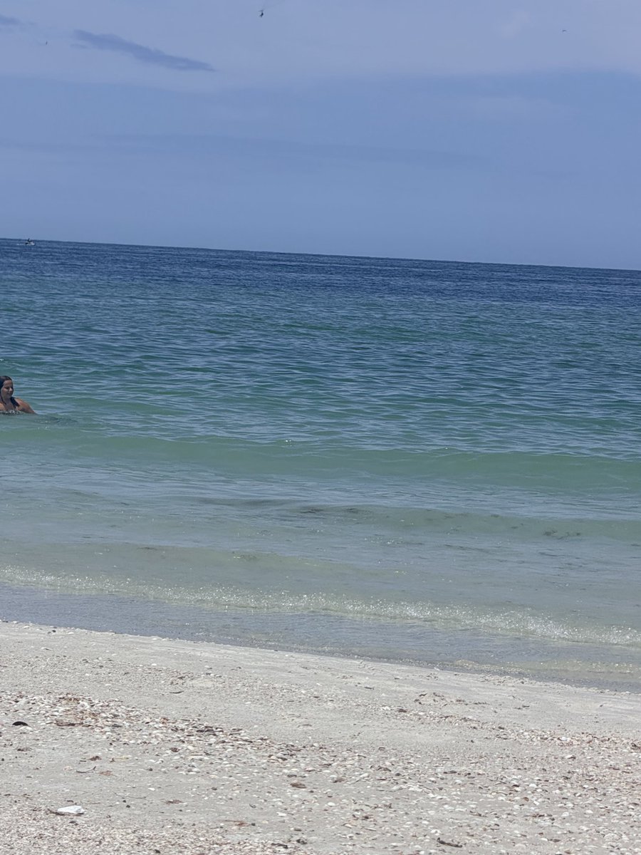 ra_ferrell's tweet photo. It’s a beautiful day at Clearwater Beach 

🇺🇸🇺🇸🇺🇸🇺🇸🇺🇸🇺🇸🇺🇸🇺🇸🇺🇸🇺🇸🇺🇸🇺🇸🇺🇸🇺🇸 https://t.co/ya7f9FVUrm