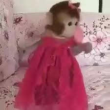 monkeyincrisis's tweet photo. https://t.co/4IunVrI4He