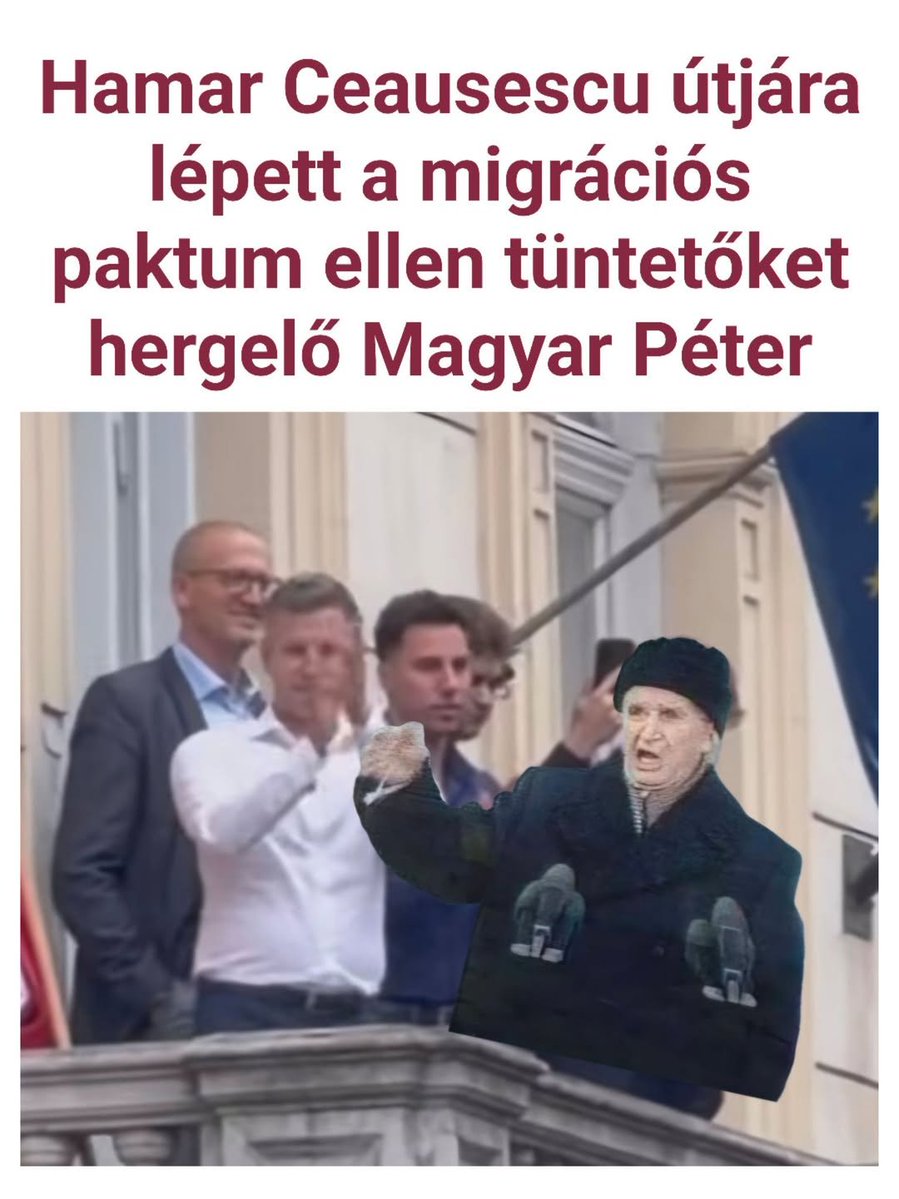 Pingipang tweet media