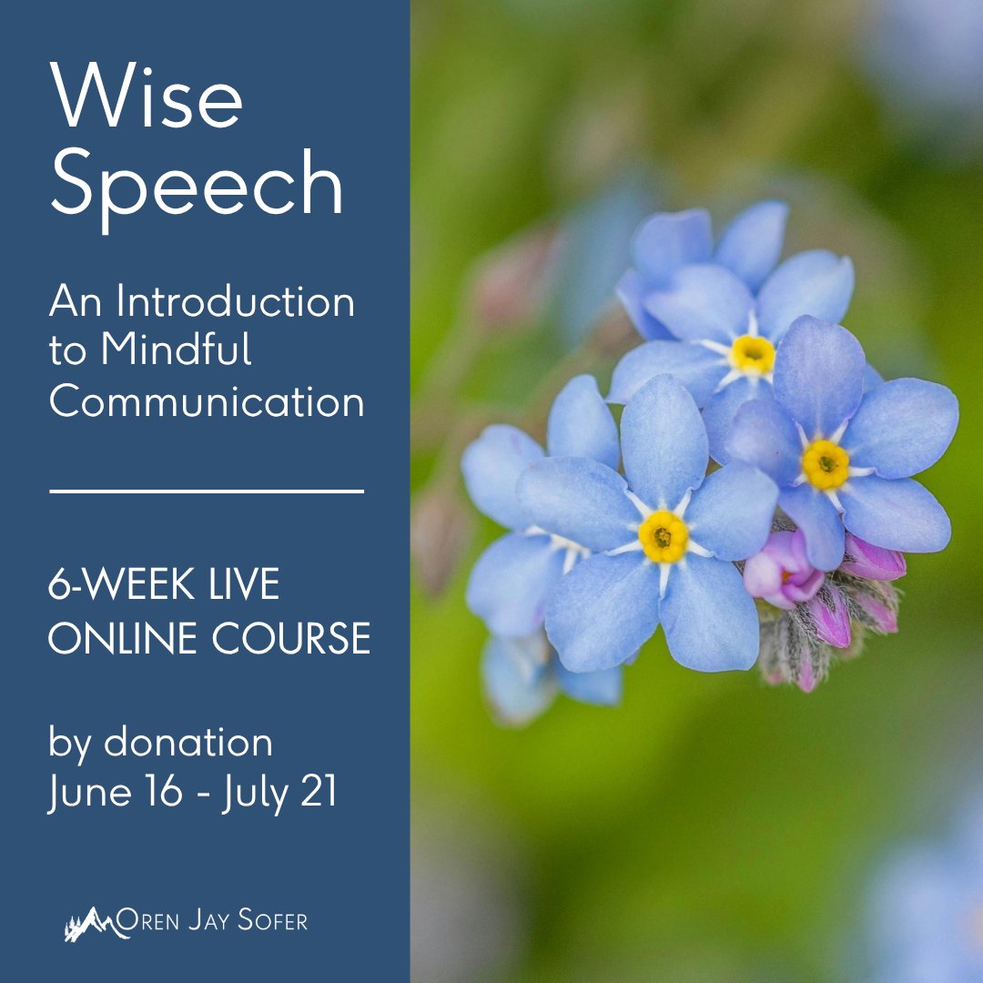 orenjaysofer's tweet photo. So glad to offer my 6-week Wise Speech course this summer on gift economy basis. Words shape the moral atmosphere we inhabit. In a time of disinformation, polarization, and fear, Wise Speech is not just a personal virtue. It’s a civic and spiritual necessity. Link in comments https://t.co/cppwPg2zDE