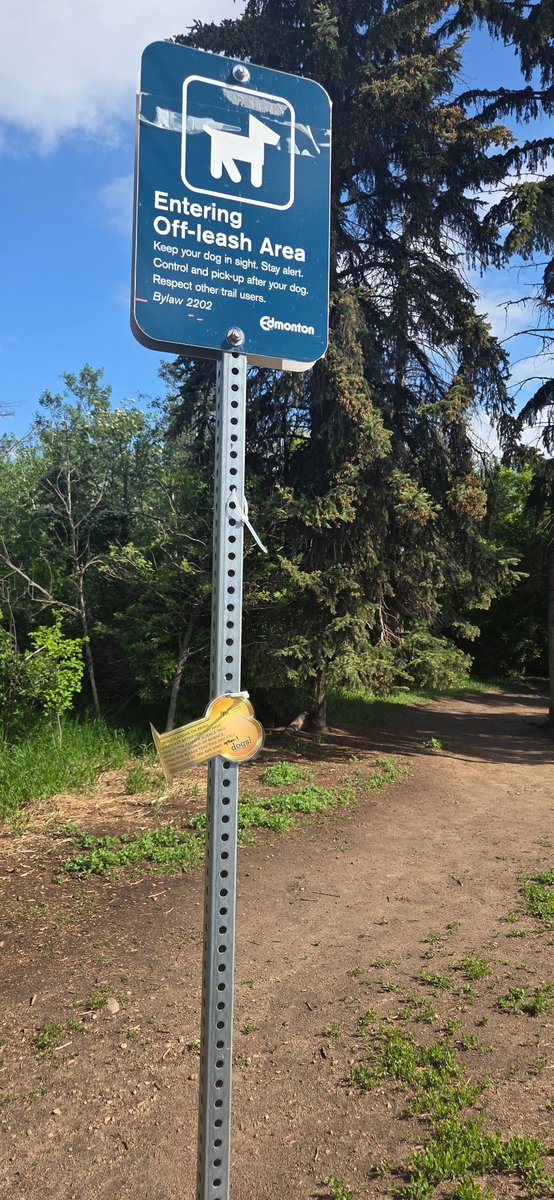 CTVYEGBuzz's tweet photo. Gorgeous views in this spot🌲🏞️

Do you recognize this location? Find the golden bone and call the number on it to win tickets to Dogs! A Science Tail @TWoSEdm! https://t.co/IcDXw4qxQp
