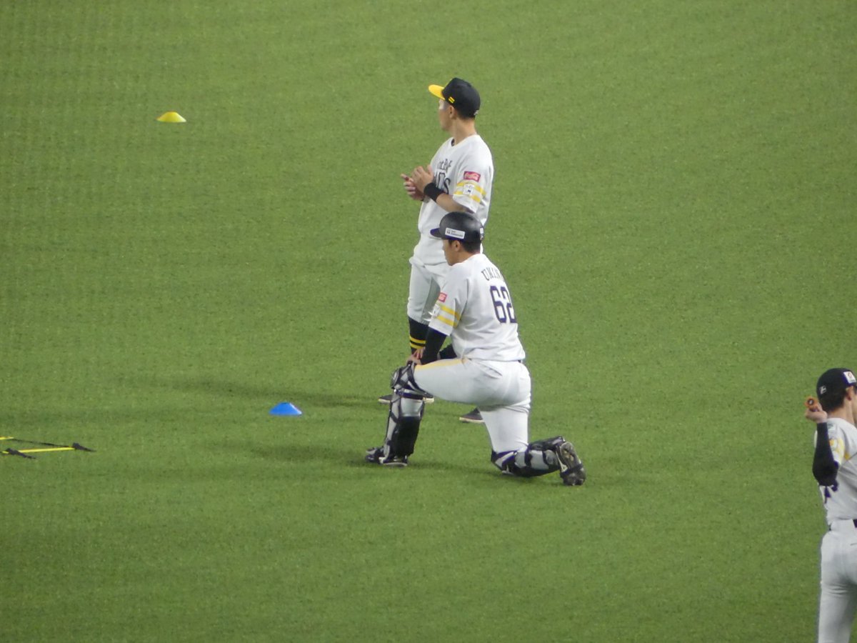 Tr4eLs's tweet photo. いつかの試合のうみんちゅ https://t.co/9NBi8uZWJh