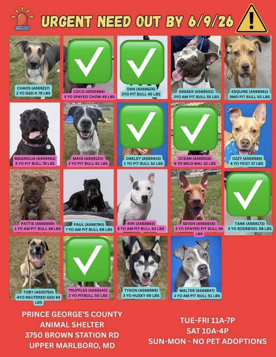 adoptadog39's tweet photo. @dogs_dc Please keep sharing! This is the updated list.
Beautiful dogs need out by tomorrow, 6/9!

#Maryland #PGCounty #DMV
#Adopt #Foster #RescueDog https://t.co/KTFZOAs4gA