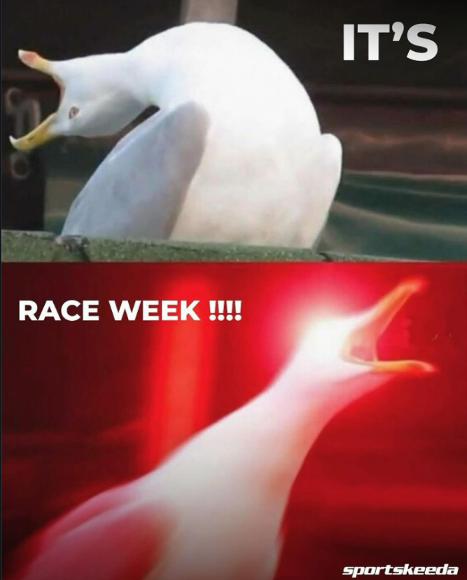 SKPitStop's tweet photo. It's a back-to-back race week!!!! 🤩

#F1 #barcelonagp https://t.co/igIlZzZTCR