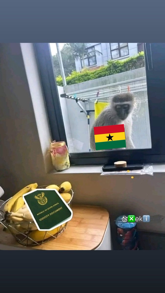 XekiHlongwane's tweet photo. Hating another country because they don’t want illegal migration is diabolical 🚮🤭🤣🤣🤭🤭 https://t.co/4a5XDuMfm2
