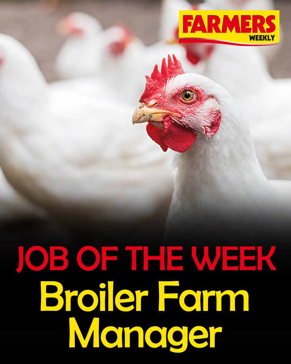 FarmersWeekly's tweet photo. 🗣️ "The Stuart Partnership is an independent farm grower with 4 state of the art modern buildings and equipment housing 170,000 broilers. This farm prides itself on its presentation and growing ability."  

APPLY HERE: https://t.co/S8gBSU3856 https://t.co/0BghO1bOdR