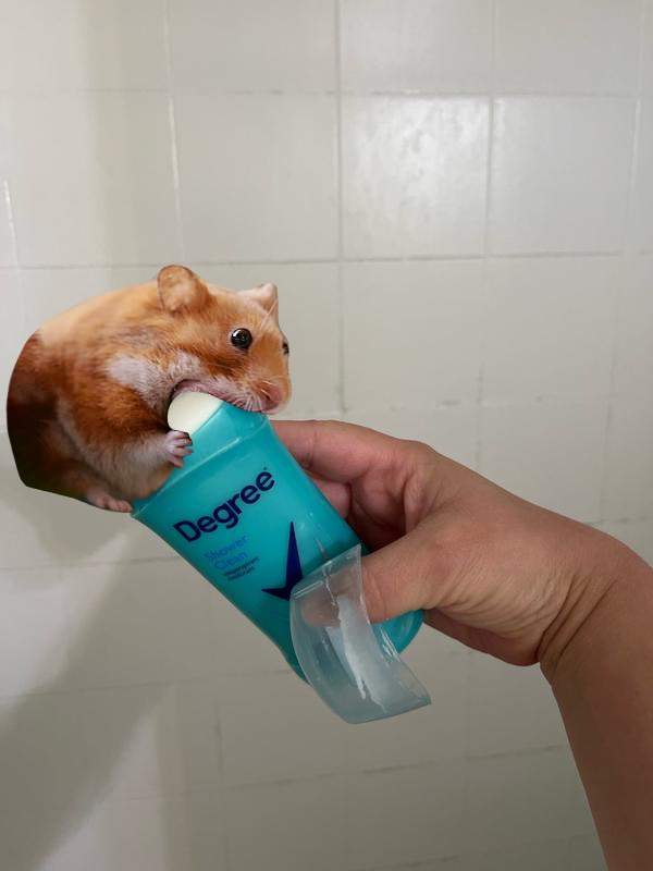 nomnom_solana's tweet photo. It doesn't take a Degree to know the hamster is hungry.. 🐹 Nom nom nom

$nomnom https://t.co/zcPyPmLsxo