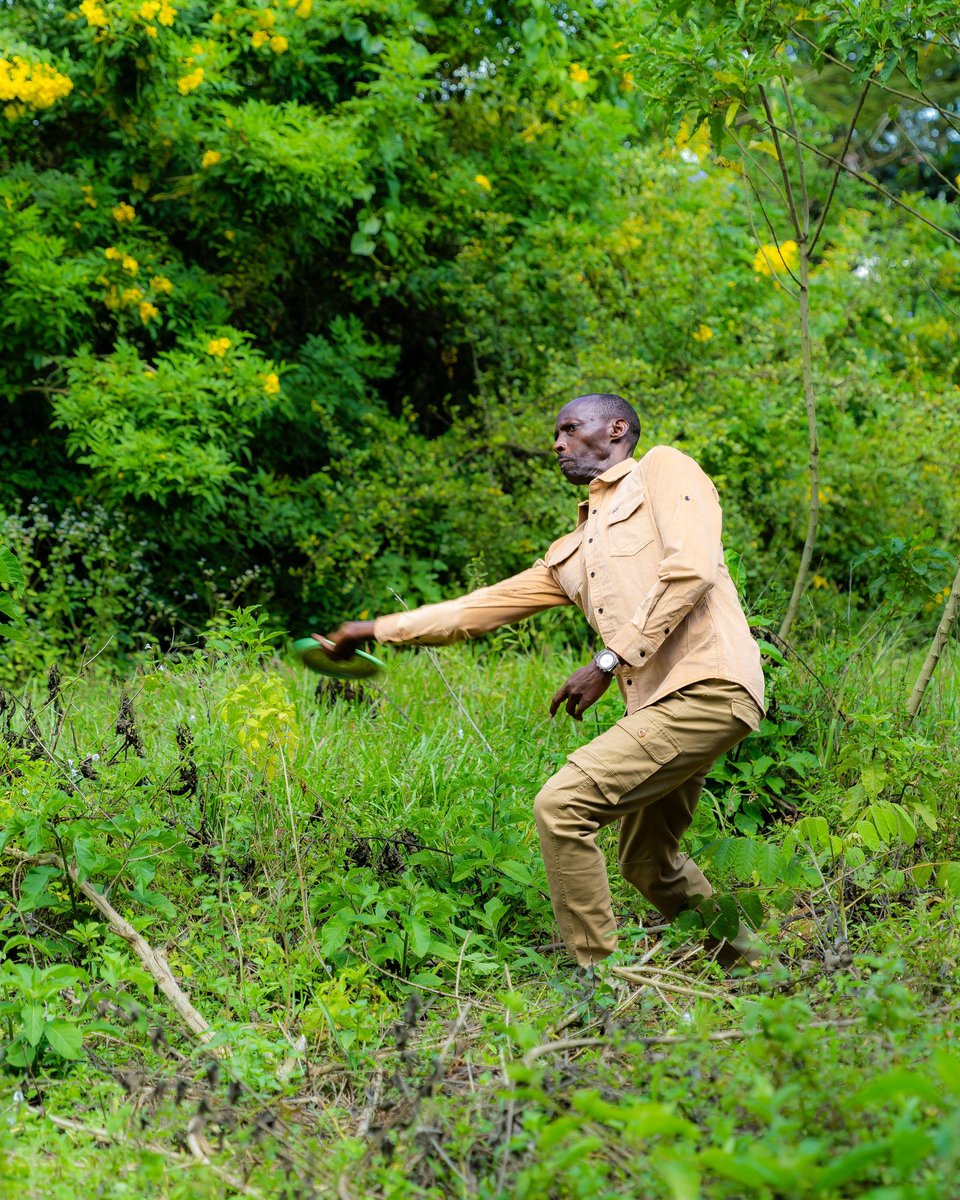 nyandungupark's tweet photo. Your next favorite outdoor game is now at Nyandungu Eco-Park! 🥏🌿

Yesterday, in partnership with the Paul McBeth Foundation, we officially launched the Disc Golf Course at Nyandungu Eco-Park, adding an exciting outdoor activity that enhances the visitor experience https://t.co/3yjWmrursl
