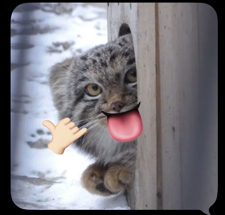 WulfKyet's tweet photo. @bleodeaglefoids https://t.co/13jtmaxIha
