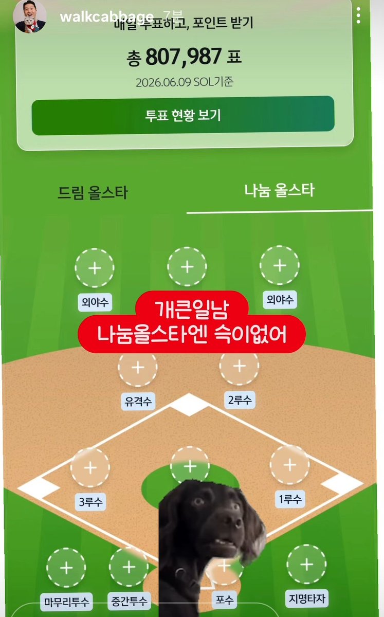 살개²⁹ tweet media