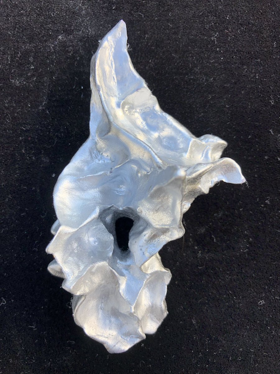 ideasrex's tweet photo. A bird of pray containing a blackhole in this fabric of space time, a mystery of expansion and contraction https://t.co/remHe7WYlO