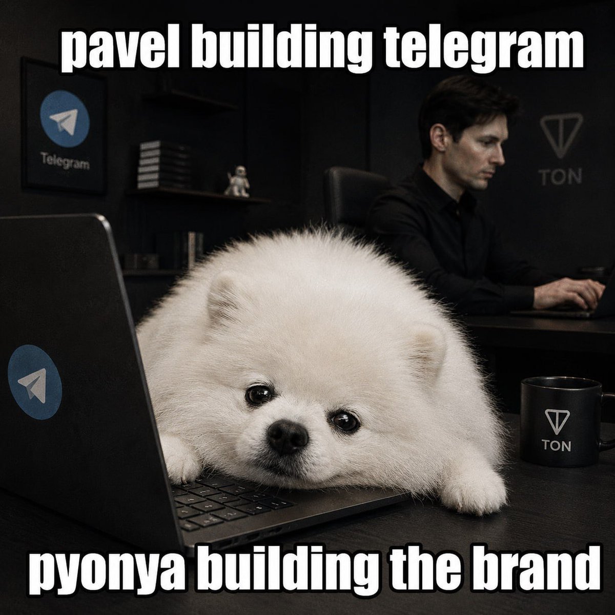 bobxRTH's tweet photo. @PYONYATON PYONYA got plan https://t.co/q8XYpe8Lf6