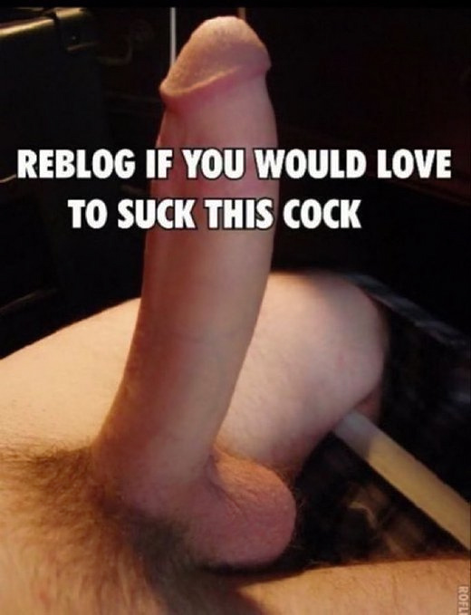 BestGay4u's tweet photo. https://t.co/spw2AmQI2a