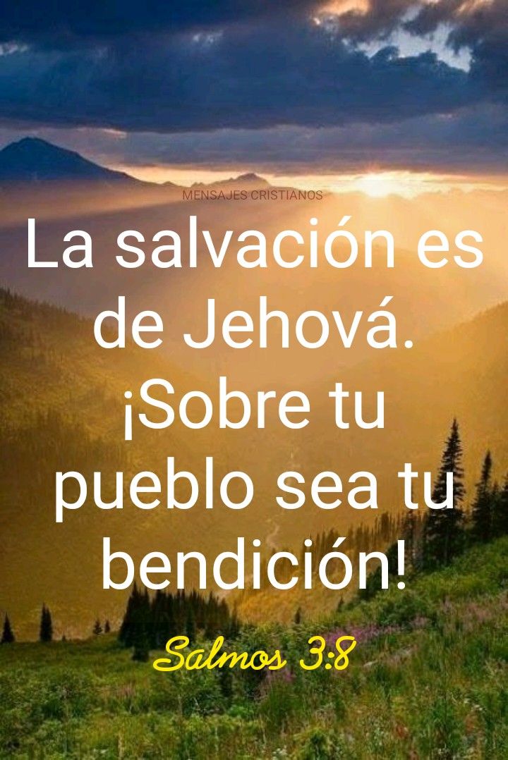 DoctoreFrio's tweet photo. #GraciasPorCuidarnos   #DiosTeBendice  #BendecidoLunes     #AMEN Créditos en imagen https://t.co/cWbtpCnciv