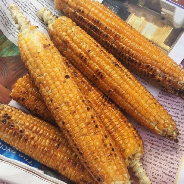 leodey4u's tweet photo. how do you like your corn? 

Roasted                               Or                     Boiled https://t.co/tG4yiKYSyG