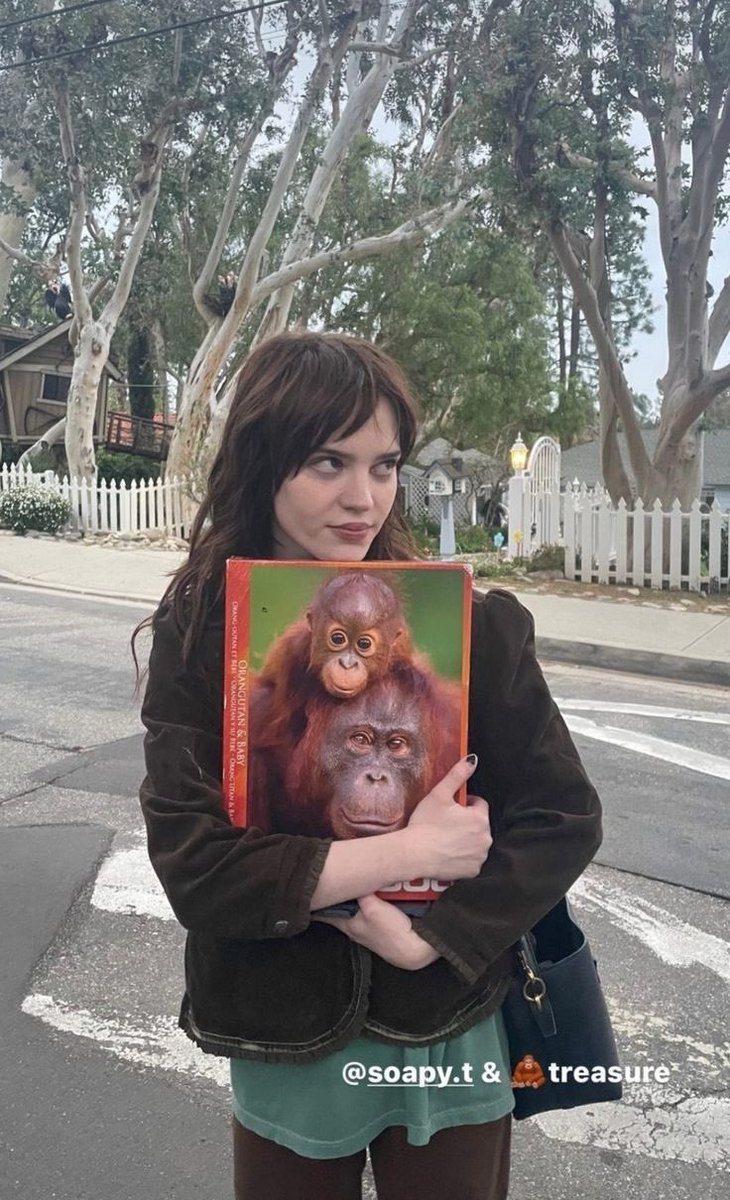 kaecinema's tweet photo. her fixation with monkeys is so cute 😢🥺 https://t.co/wKeWN9JvHD