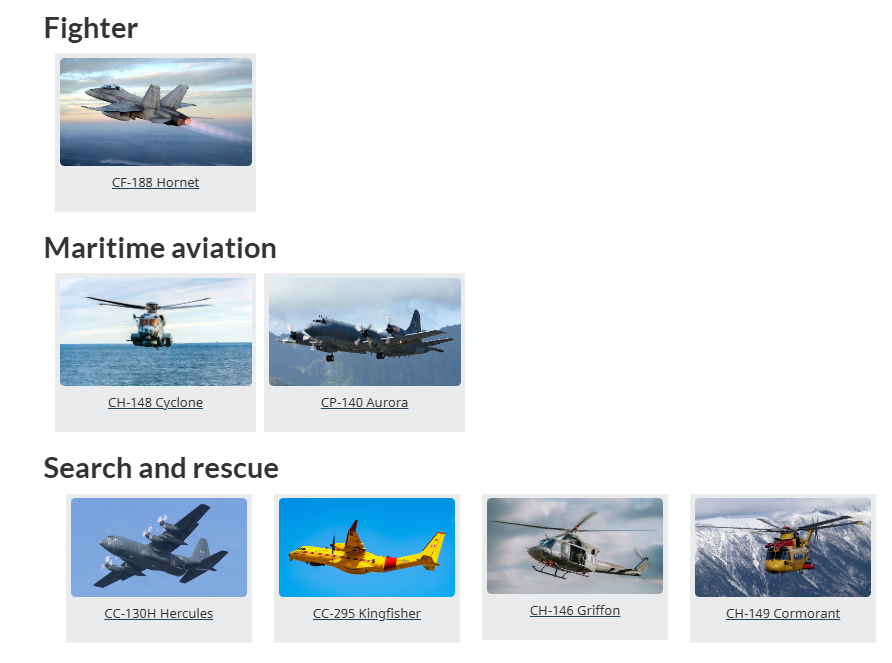 EvanGatehouse's tweet photo. @JeanPFournier For gods sakes look at how many different types of trainer and transport aircraft we have. Yes we currently have 1 fighter type. But look at all the others. https://t.co/KsS47sGiK5