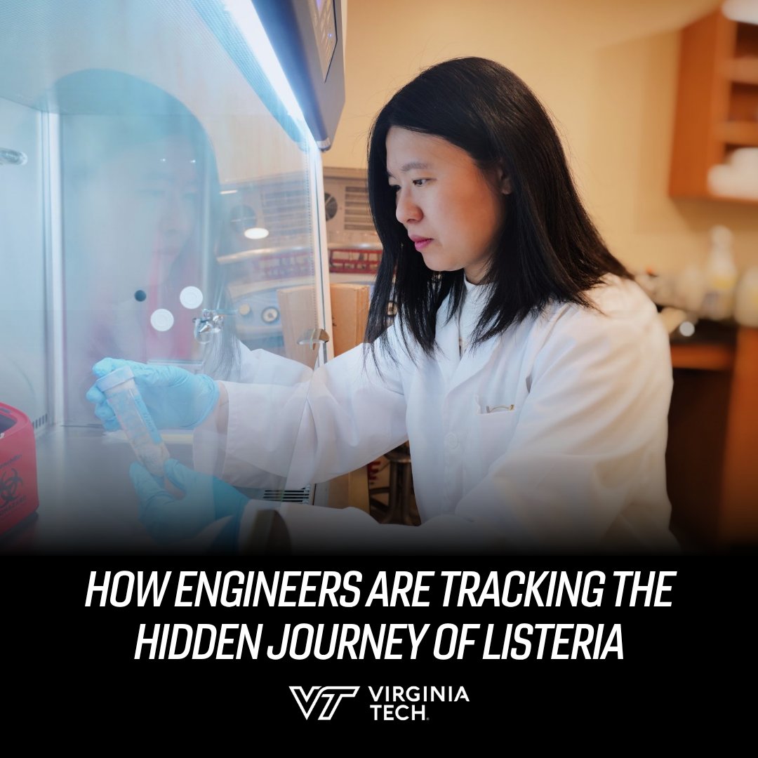 vtnews's tweet photo. A #VirginiaTech researcher is working to improve food safety by helping trace outbreaks faster and reduce contamination before it reaches people’s kitchens. 👏

🔗: https://t.co/4To669McsV https://t.co/jdGryGDf7X