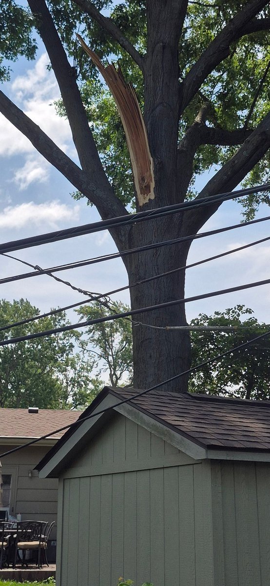 GraphicVantage's tweet photo. Hey @evergypower, this just happened 15 minutes ago. 11:40am, 6/8/26. Plenty of neighbors reported it, but just giving some visuals. North OP, KS. 

Oak tree branch on the lines, no broken poles, line potentially on the fence. https://t.co/UN6mtFZthu