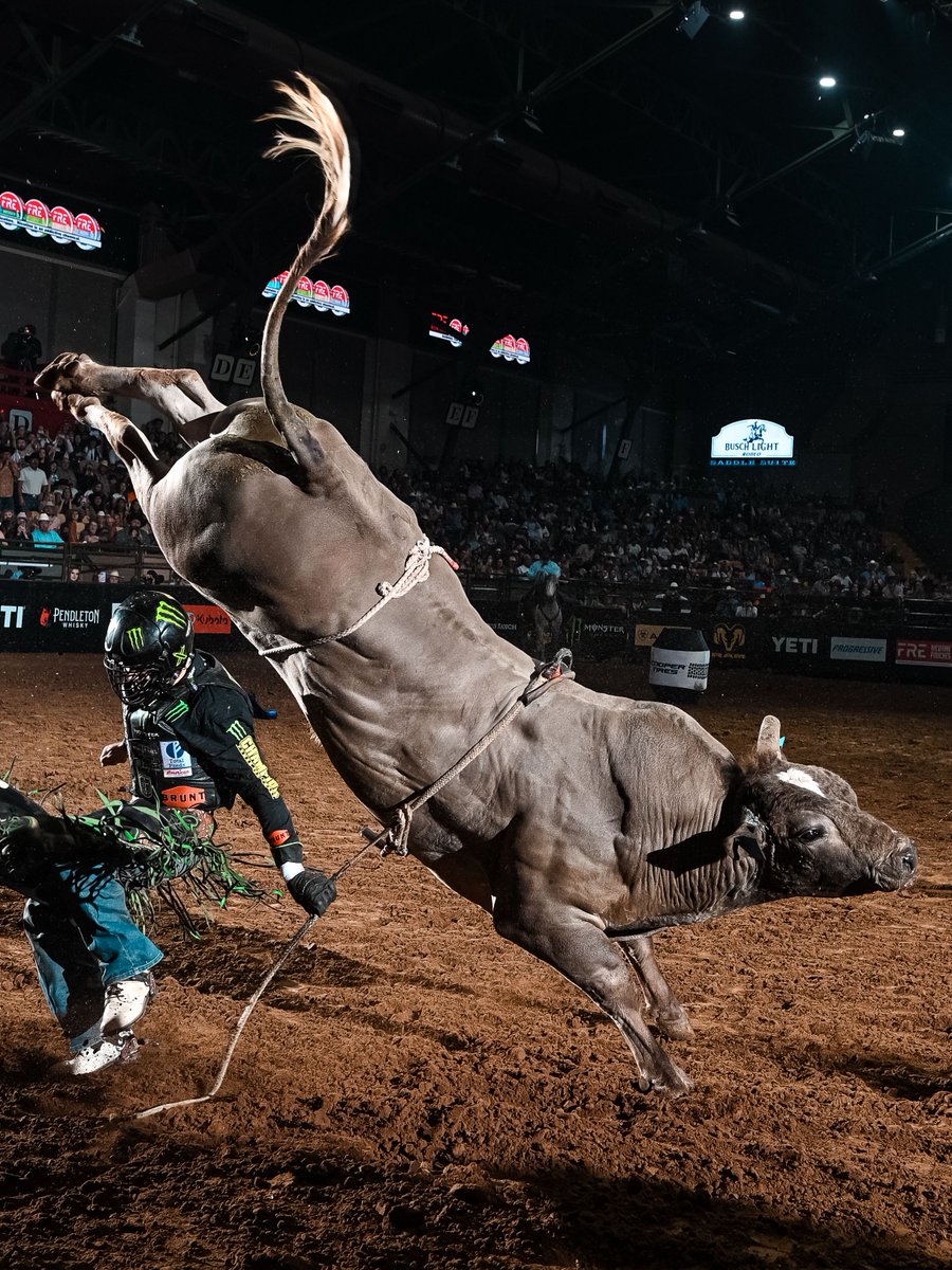 PBR's tweet photo. Forever in our hearts 247 Pegasus 🤍 https://t.co/nfZYmDvLBv