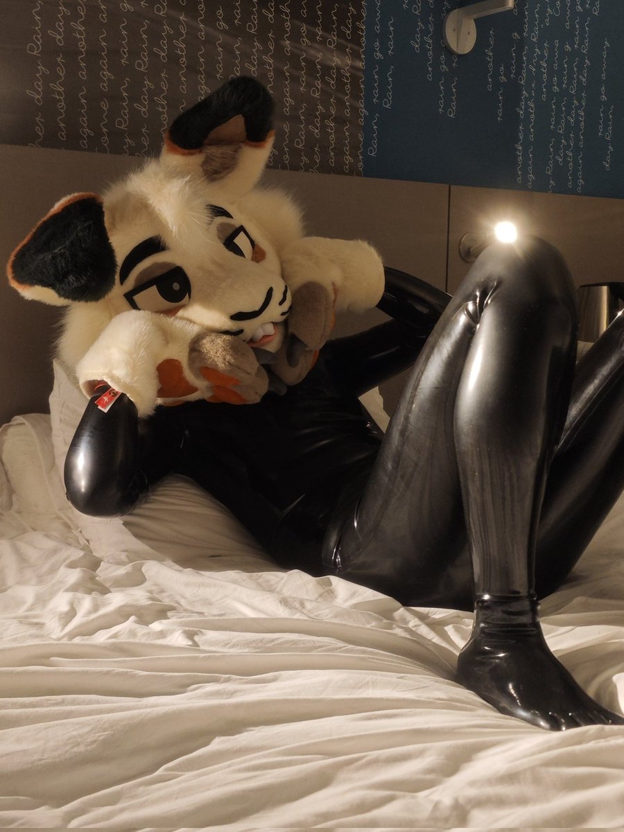 ryderisabunny's tweet photo. the shiniest bunny to ever do it 🌟 https://t.co/NALqhvtWPi