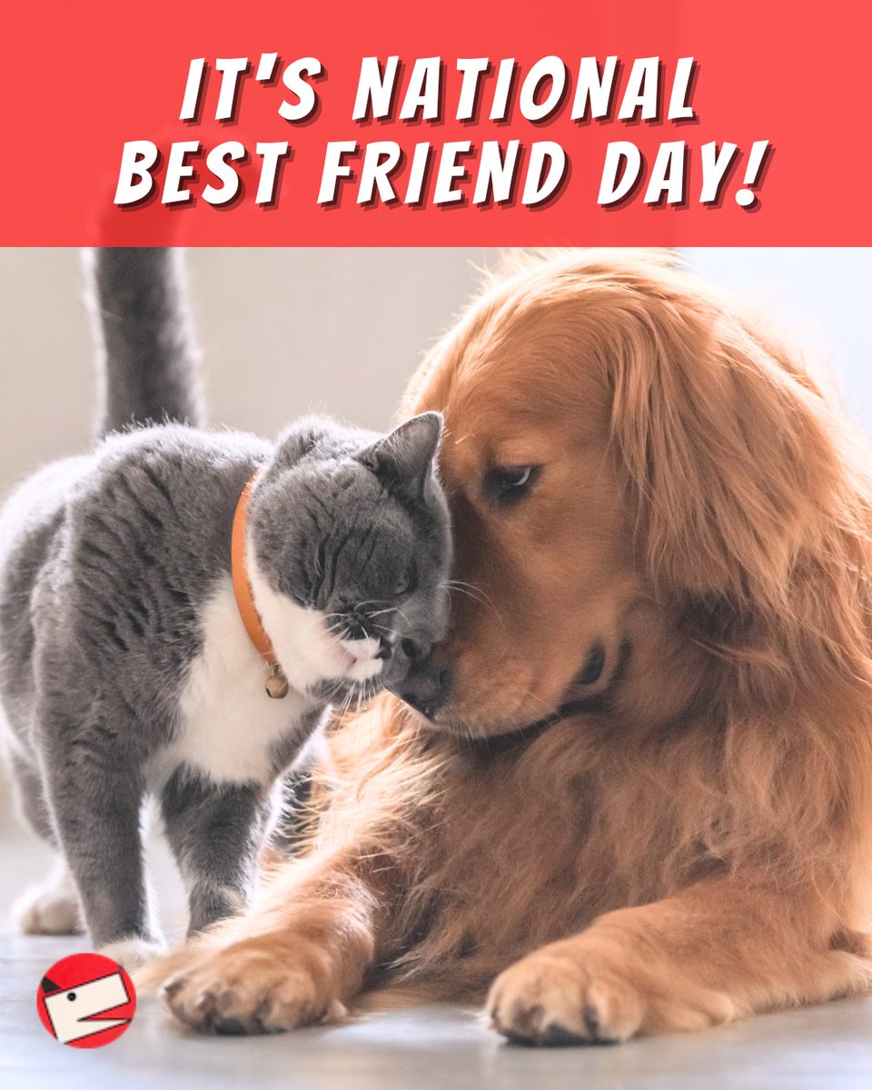 CompanionPetCL's tweet photo. Our furry companions really make the best friends. 💞

#BestFriendsDay #MansBestFriend #FurryFriends https://t.co/lBQ2DiMb8A