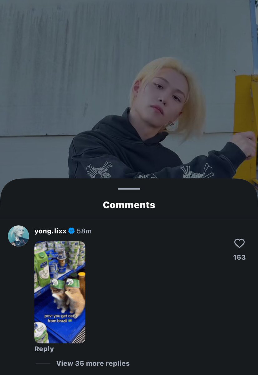 becabyknow's tweet photo. GENTE O FELIX USOU UM GIF E TÁ ESCRITO “pov: you get cats from brazil 🇧🇷” HOJE A GENTE TÁ VENCENDO MUITO MDSSSSS https://t.co/yeXjlXgRp3