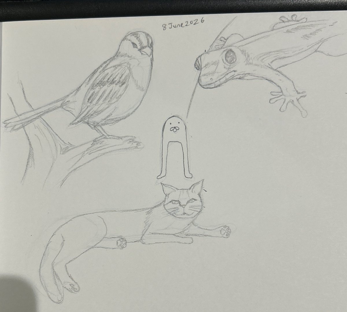 blake_yee's tweet photo. Different sketches for today https://t.co/TC0JRNUWvH