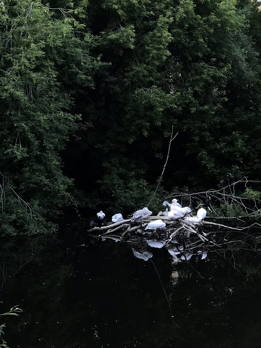 dariabeetle's tweet photo. Поделись самым зелёным фото, которое ты когда-либо делал 🌿

зелёный мой любимый цвет, поэтому пусть будет сразу много https://t.co/4sgNtAMwJv