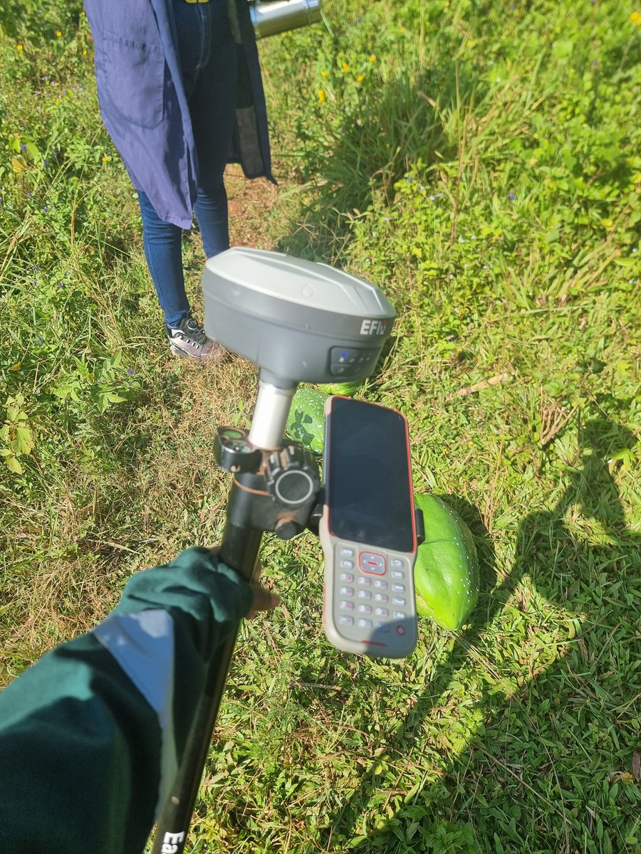 Fortune_achiro's tweet photo. When you survey in a garden... your pay it always fruits. https://t.co/NLSBy8qTtZ