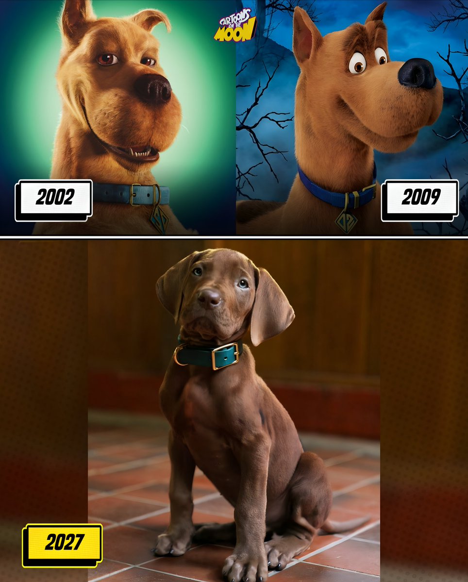 CartoonsOTMoon's tweet photo. Por primera vez en un live action, Scooby-Doo será un perro real y no hecho por CGI 🐾 https://t.co/oCeNg3M11o