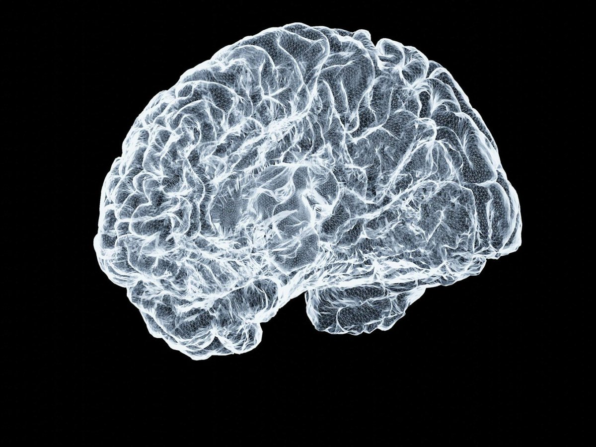 forallcurious's tweet photo. 🚨: Researchers have successfully reversed key signs of brain aging and restored memory in preclinical models using a novel nasal spray. https://t.co/mUr6vwziIQ