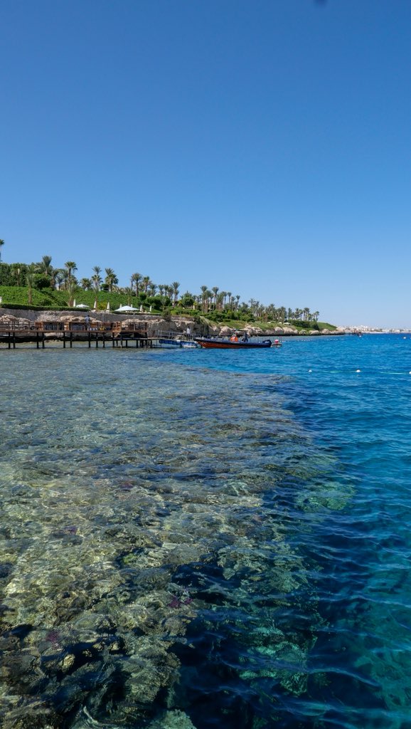 dapper_dubai's tweet photo. Four Seasons Resort Sharm El Sheikh https://t.co/cAN9jEy2FD