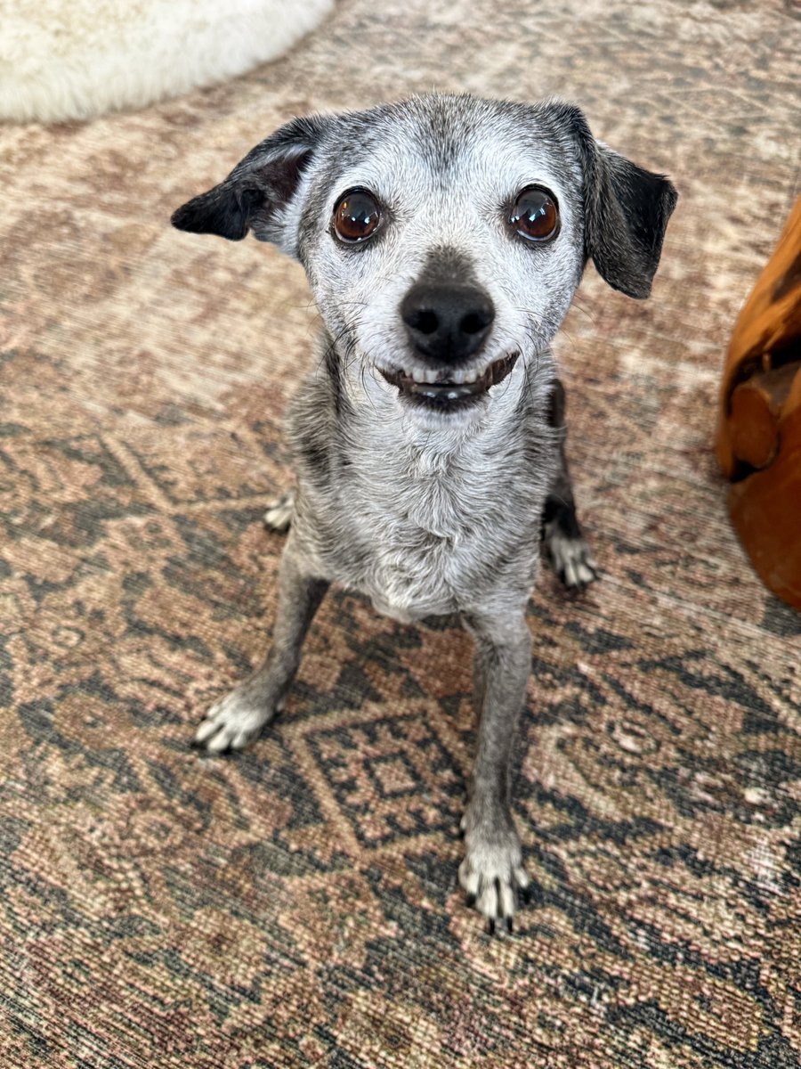 fulcandles's tweet photo. If you need a smile, you can have mine. https://t.co/hBbDLL2qHj