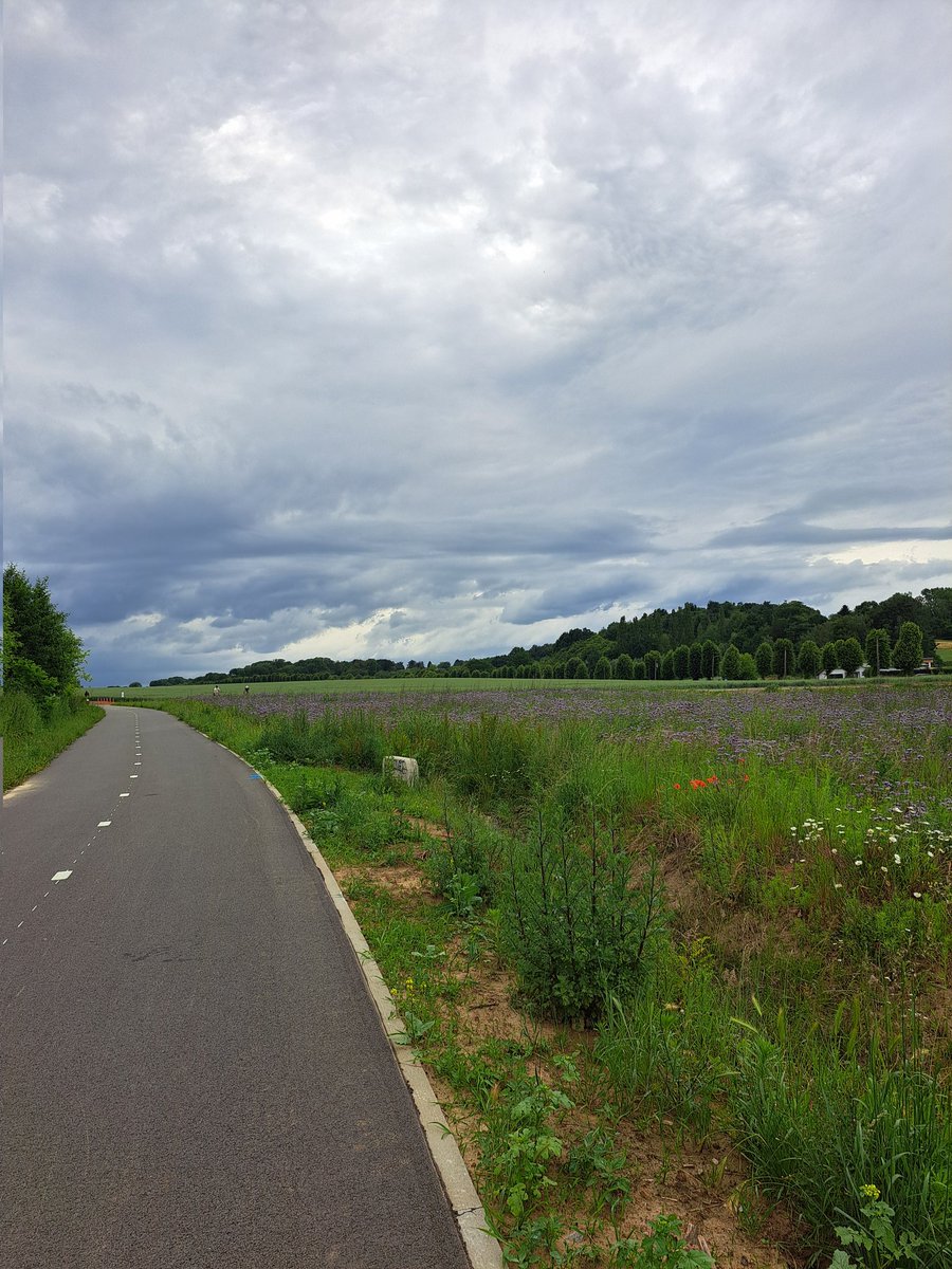 HildeStuyck's tweet photo. Op weg naar huis. En toen regende het nog net niet.
#Vrtweer #weerfoto #fietsostrade #Bertem https://t.co/dToN9UWbuF