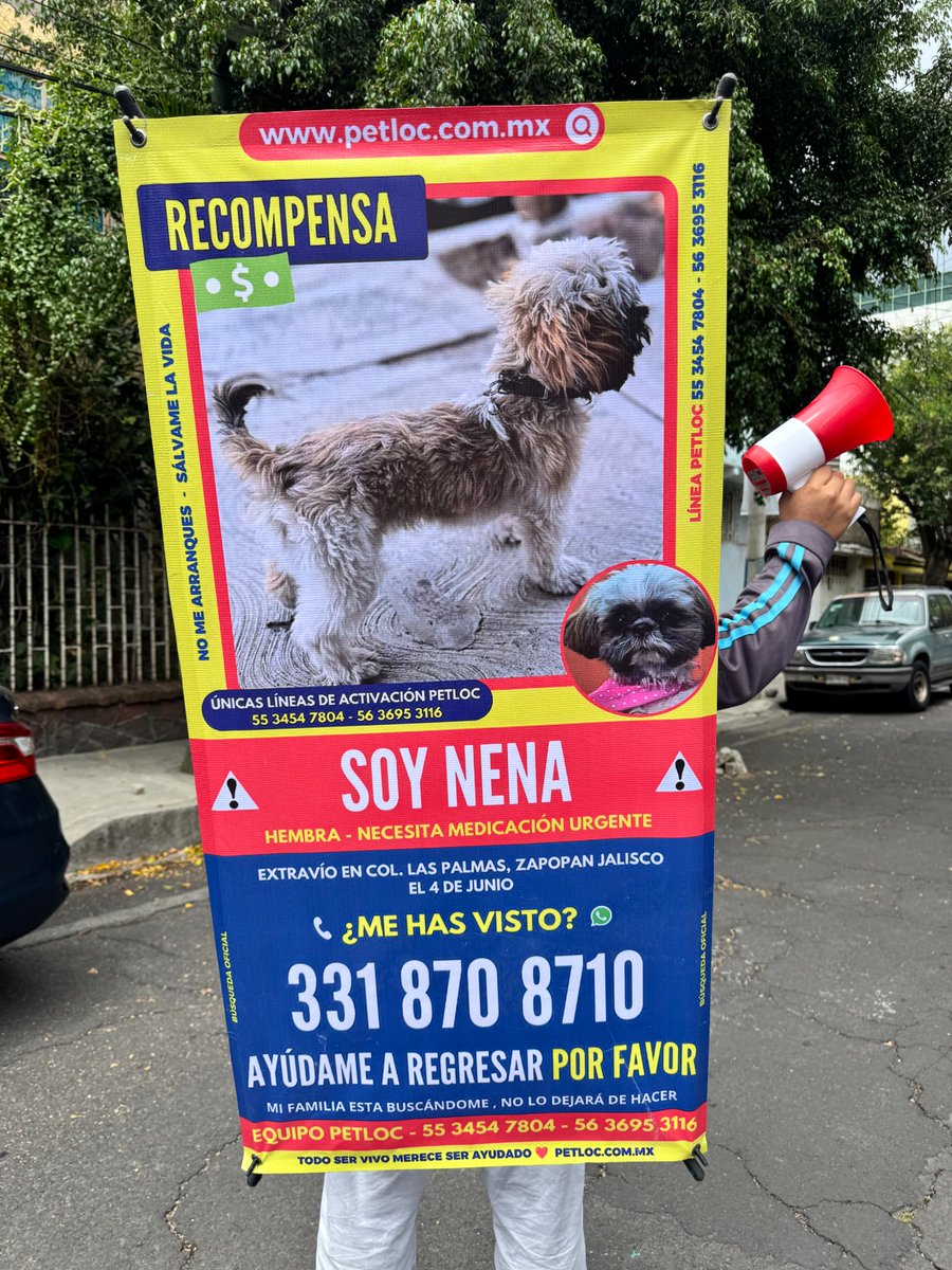 PetlocMX's tweet photo. 🚨 BUSCAMOS A NENA 🐶🤍🤎
Seguimos difundiendo su búsqueda en calles y puntos clave. Nena aún no regresa a casa y su familia no deja de buscarla 🏡🐾

📍 Col. Las Palmas, Zapopan, Jalisco
📞 331 870 8710

#Nena #PerritaPerdida #Zapopan #Jalisco #SeBusca #MascotaPerdida #PetLoc https://t.co/YHWubKoGkQ