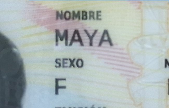 mayical_star's tweet photo. Dude... i failed the sex exam... https://t.co/QI2aPEBeqB