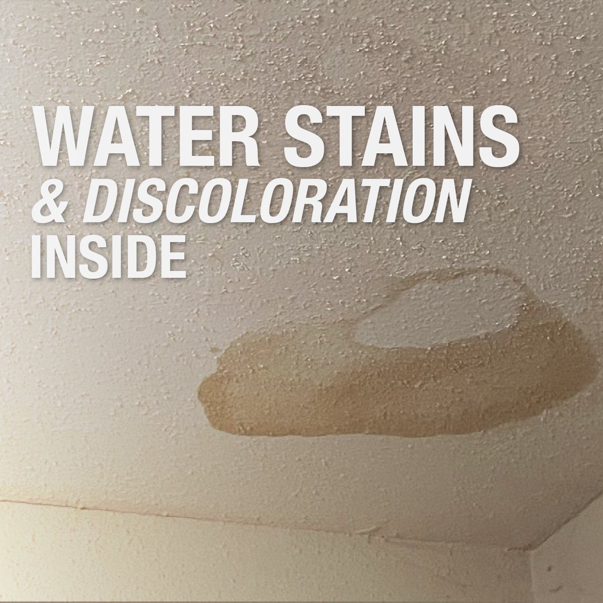 HoldenRoofingTX's tweet photo. Rain damage isn't always obvious - here are 3 signs to look for after a storm.

Storm season is here, and catching damage early can save you money later. If you’re unsure, call Holden Roofing for a FREE inspection!

📞 888.553.1318

#holdenroofing #roofdamage https://t.co/we7eVugi6F