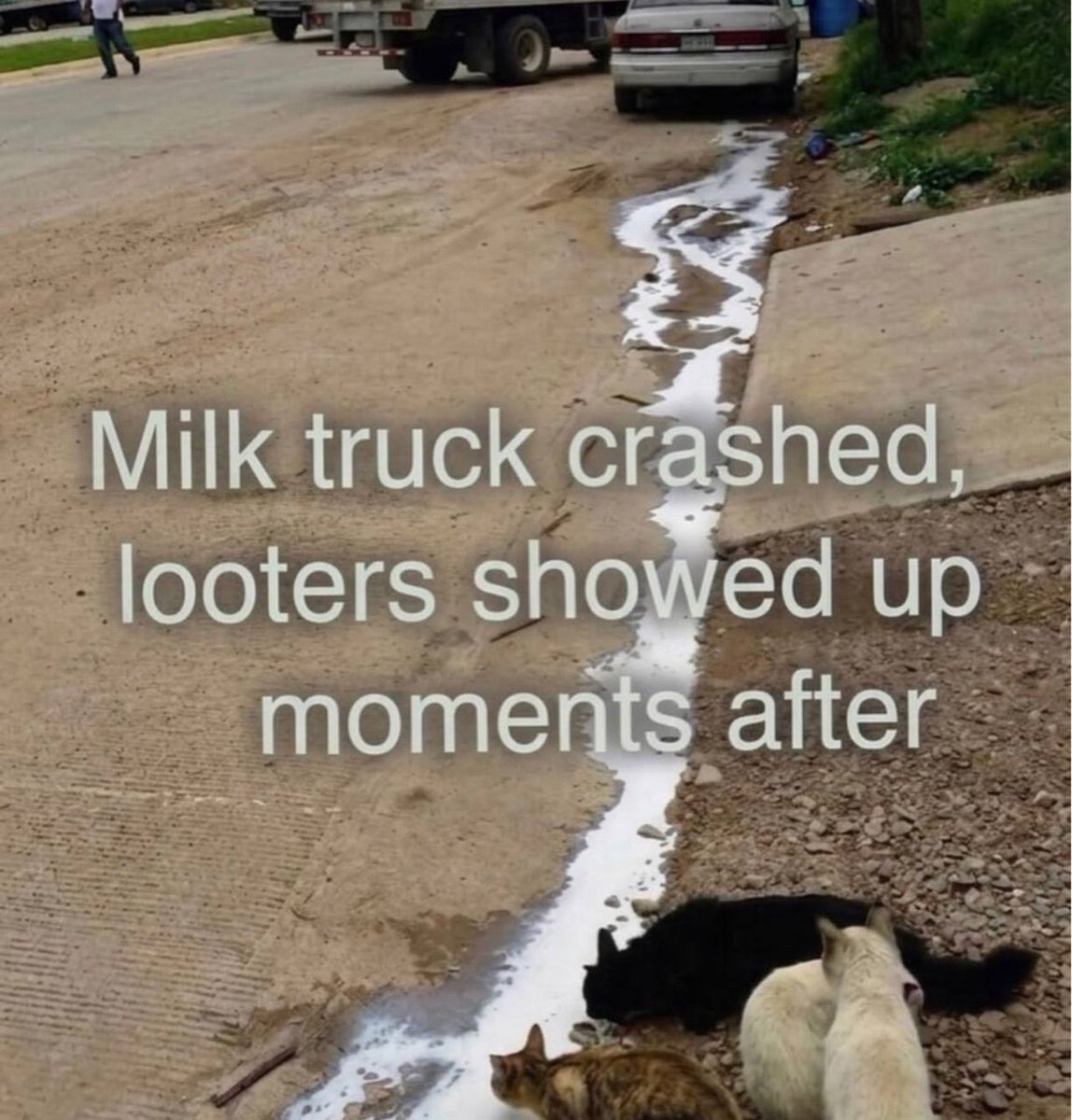 nocontextmemes's tweet photo. https://t.co/TfF5ieWMNN