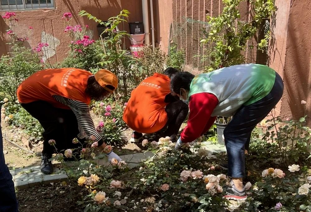 ArunJerald's tweet photo. Join our community garden volunteer day this Sat (9am-12pm)! Plant veggies, meet neighbors u0026 enjoy fresh air. Sign up via link in bio https://t.co/eK8wr9boP7