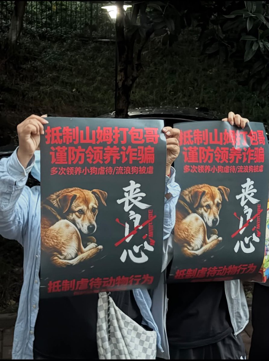 whyyoutouzhele's tweet photo. 6月8日晚，动物保护志愿者们 静坐、举标语，抗议 山姆打包哥虐狗，声援动物保护立法。

现场男女老少都有，还有不少从外地飞到重庆的志愿者 https://t.co/oaBP0iGZwN